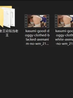 [自行打包] AxenAnim大佬新作Kasumi Good Doggy（死或生的霞）4K 1币 [V4+350.01M][百度盘]